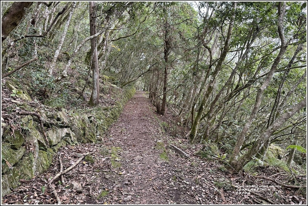 瓦拉米步道-2022-12-165.jpg 瓦拉米步道-2022-12-165.jpg