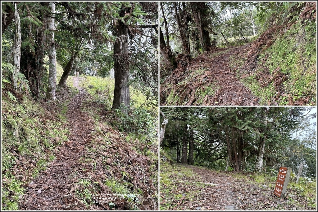 瓦拉米步道-2022-12-167.jpg 瓦拉米步道-2022-12-167.jpg