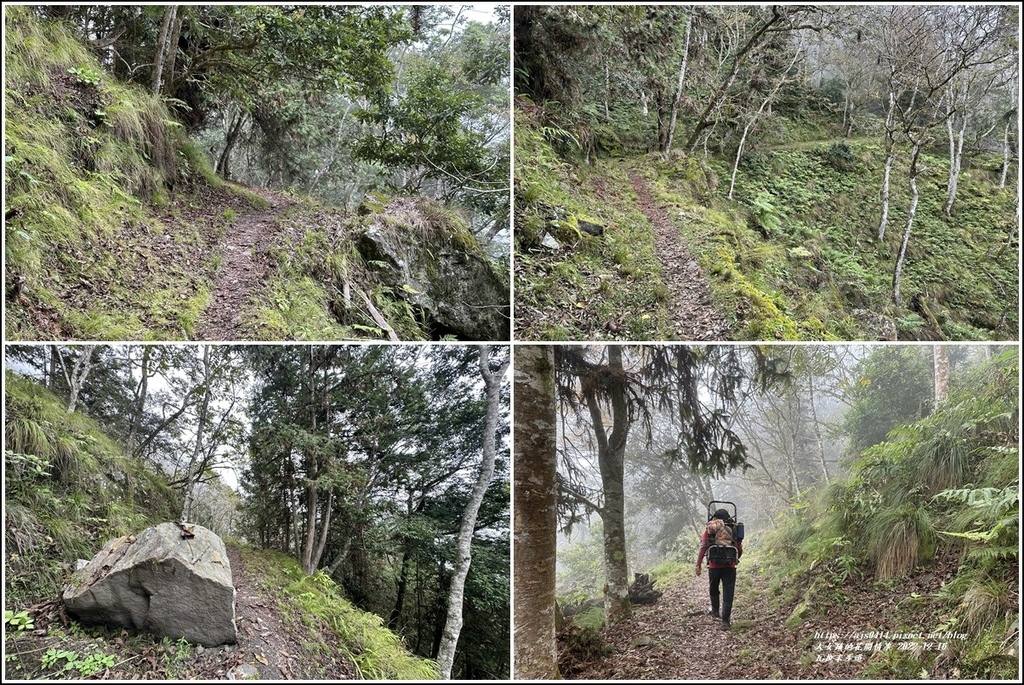 瓦拉米步道-2022-12-168.jpg 瓦拉米步道-2022-12-168.jpg