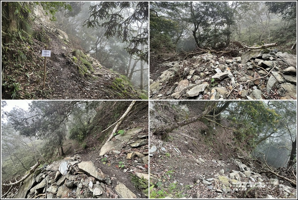 瓦拉米步道-2022-12-169.jpg 瓦拉米步道-2022-12-169.jpg