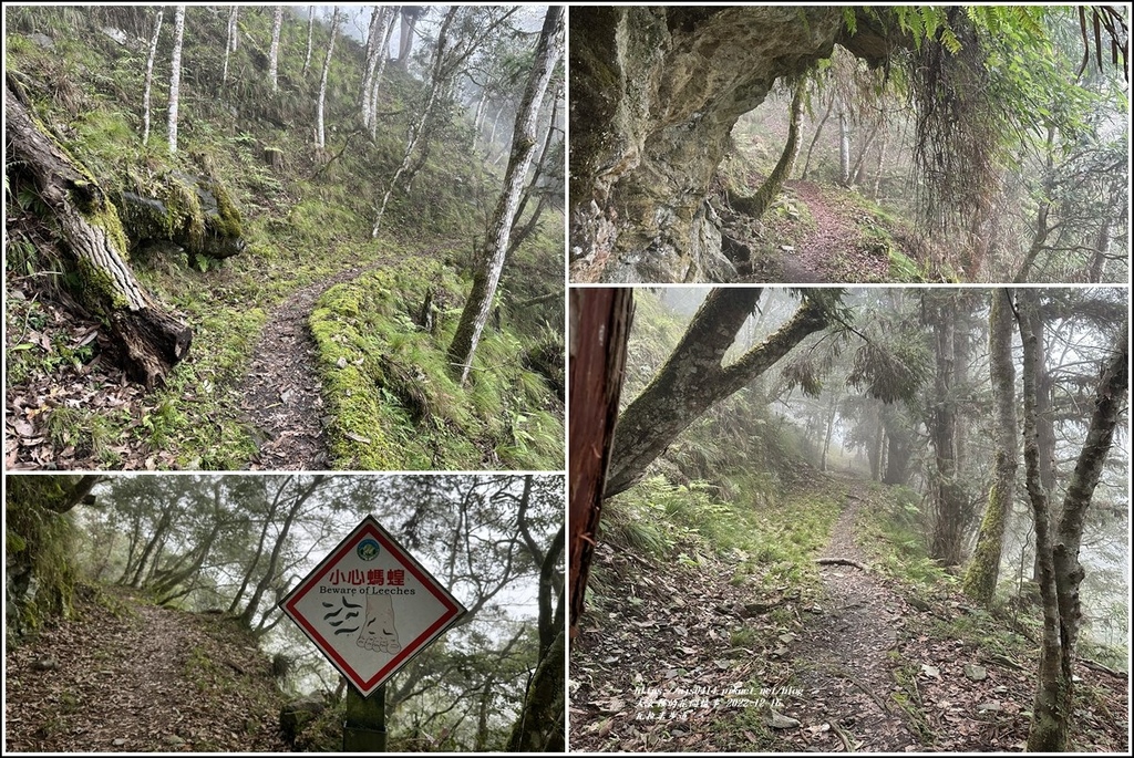 瓦拉米步道-2022-12-170.jpg 瓦拉米步道-2022-12-170.jpg