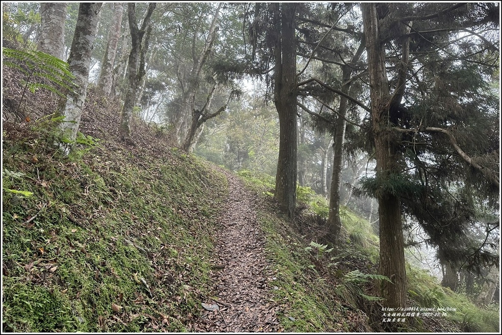 瓦拉米步道-2022-12-172.jpg 瓦拉米步道-2022-12-172.jpg