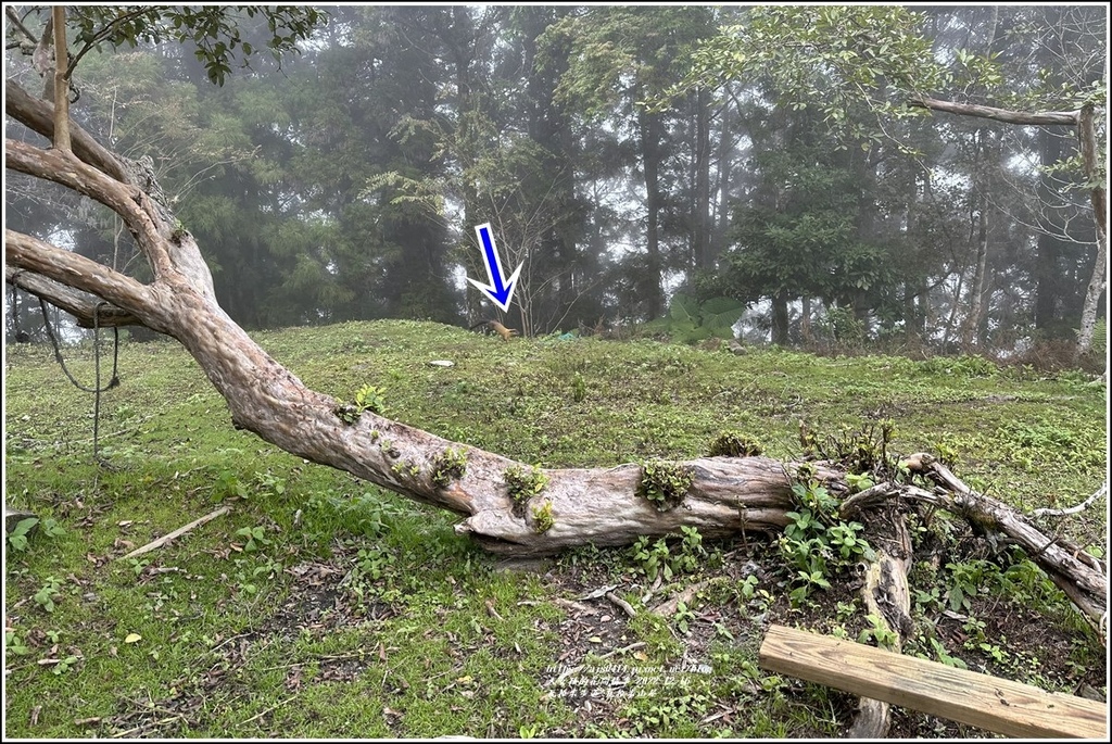 瓦拉米步道-2022-12-191.jpg 瓦拉米步道-2022-12-191.jpg