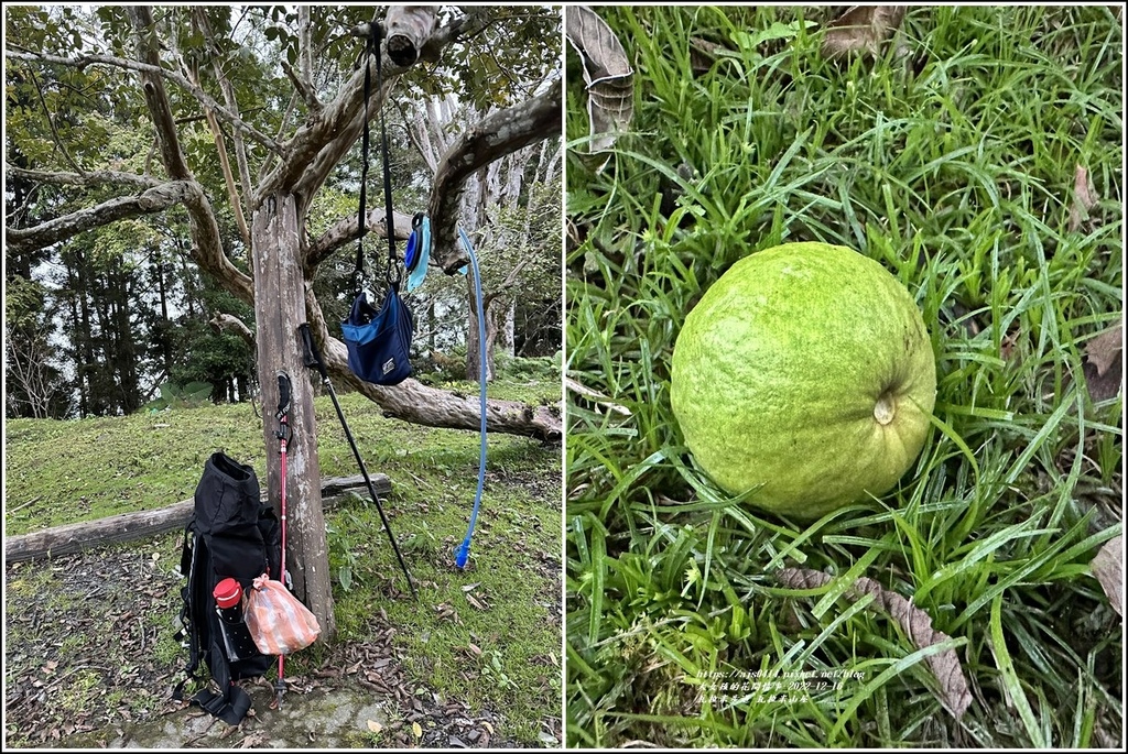 瓦拉米步道-2022-12-192.jpg 瓦拉米步道-2022-12-192.jpg