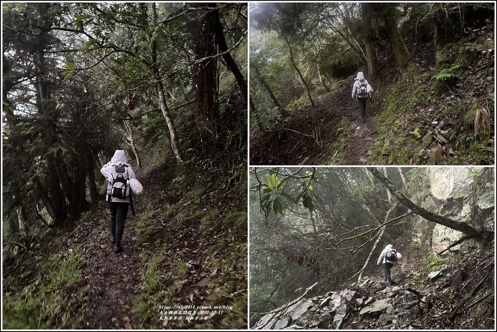 瓦拉米步道-2022-12-199.jpg 瓦拉米步道-2022-12-199.jpg