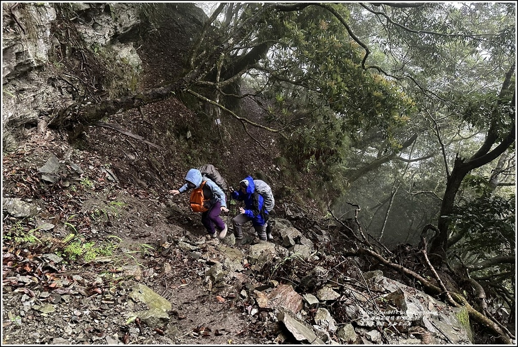 瓦拉米步道-2022-12-200.jpg 瓦拉米步道-2022-12-200.jpg