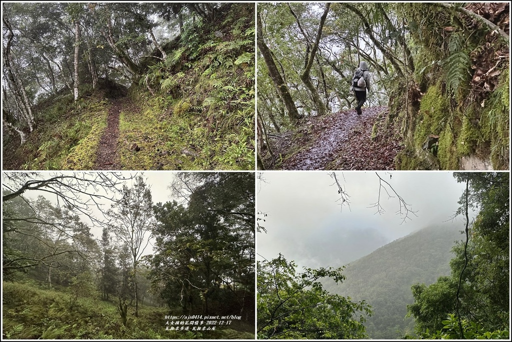 瓦拉米步道-2022-12-201.jpg 瓦拉米步道-2022-12-201.jpg