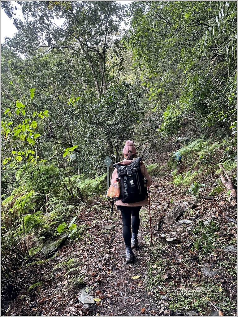 瓦拉米步道-2022-12-205.jpg 瓦拉米步道-2022-12-205.jpg