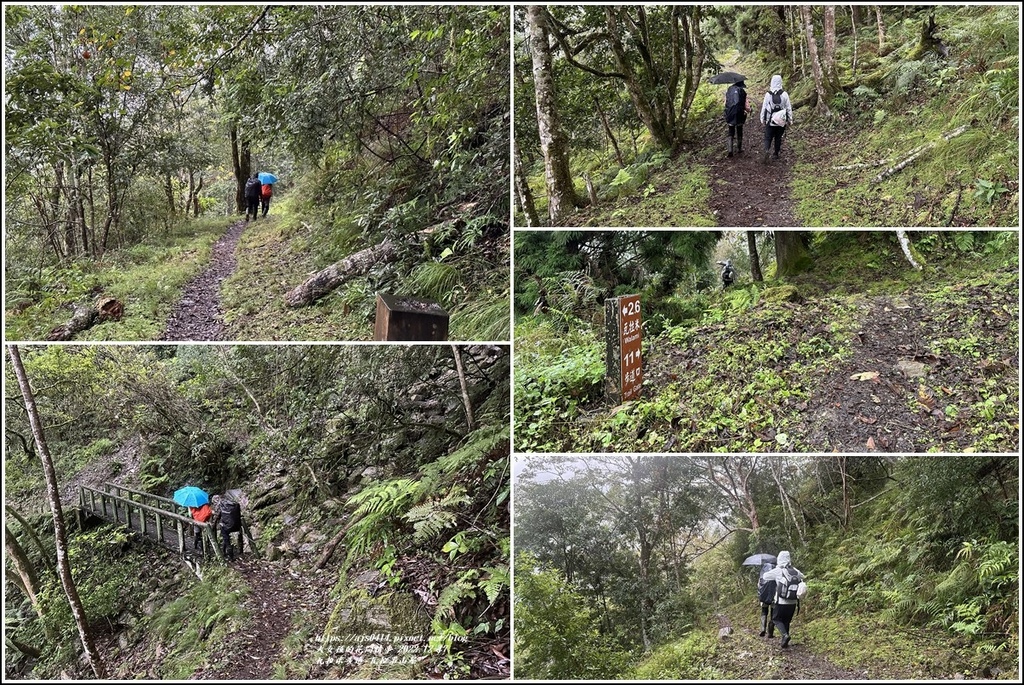 瓦拉米步道-2022-12-203.jpg 瓦拉米步道-2022-12-203.jpg