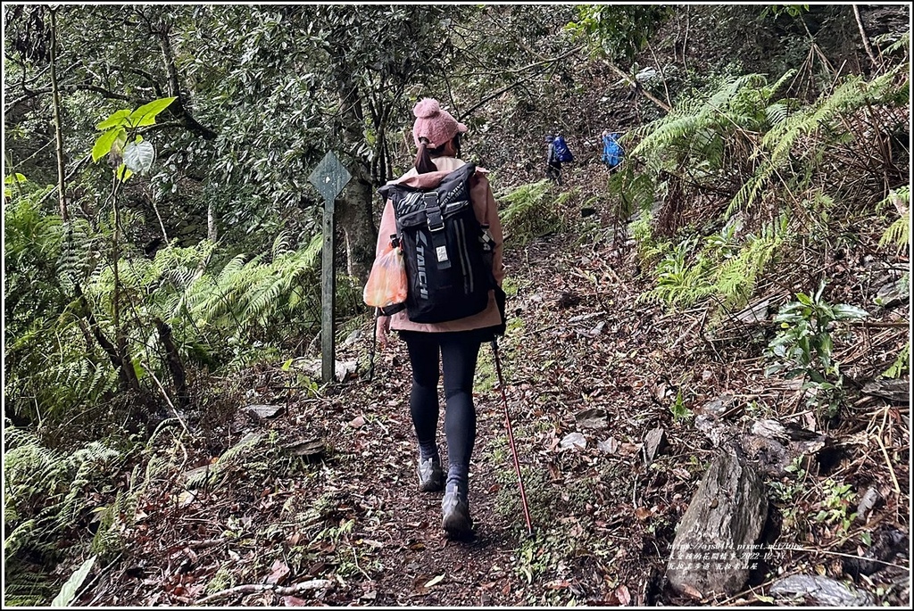 瓦拉米步道-2022-12-207.jpg 瓦拉米步道-2022-12-207.jpg