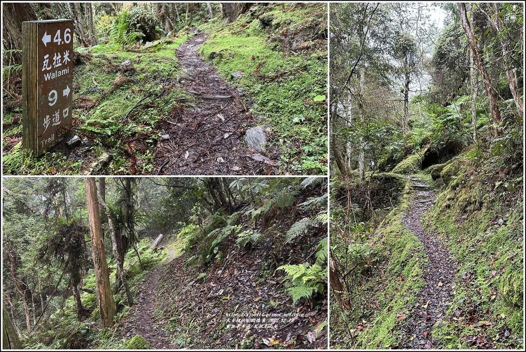 瓦拉米步道-2022-12-211.jpg 瓦拉米步道-2022-12-211.jpg