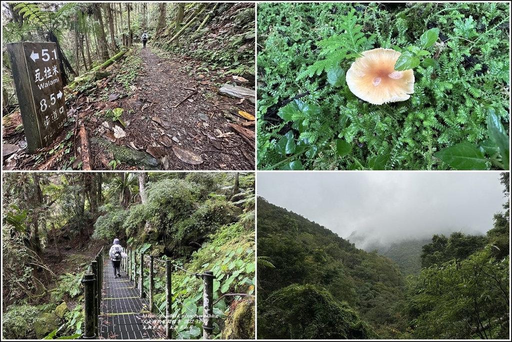 瓦拉米步道-2022-12-212.jpg 瓦拉米步道-2022-12-212.jpg