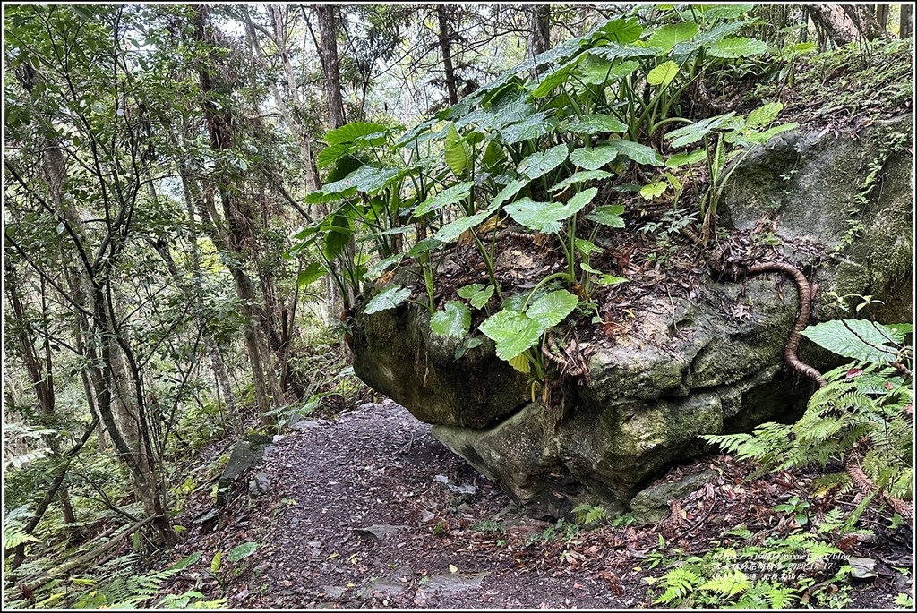 瓦拉米步道-2022-12-215.jpg 瓦拉米步道-2022-12-215.jpg