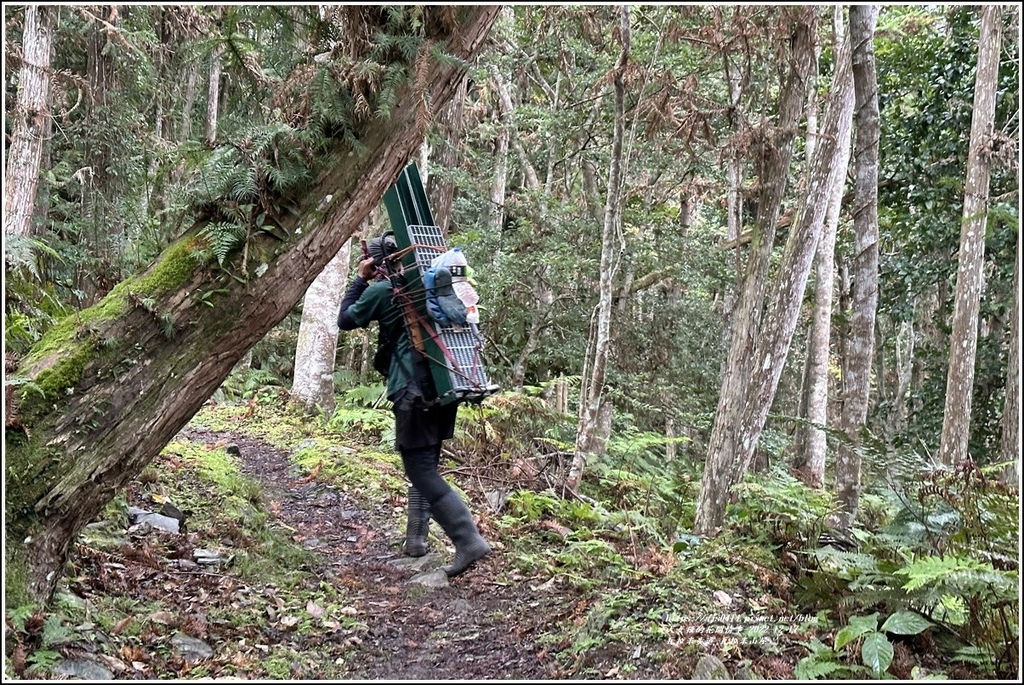 瓦拉米步道-2022-12-217.jpg 瓦拉米步道-2022-12-217.jpg