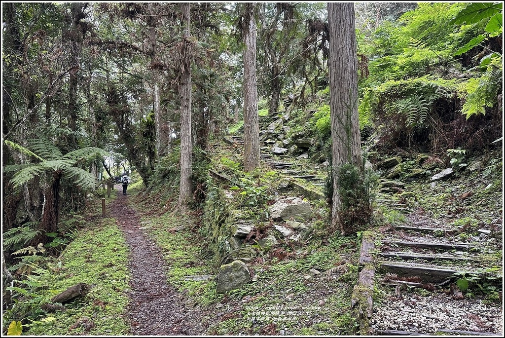 瓦拉米步道-2022-12-219.jpg 瓦拉米步道-2022-12-219.jpg