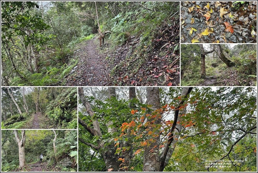 瓦拉米步道-2022-12-222.jpg 瓦拉米步道-2022-12-222.jpg