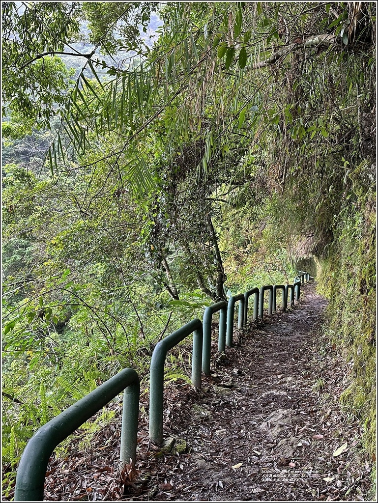 瓦拉米步道-2022-12-225.jpg 瓦拉米步道-2022-12-225.jpg