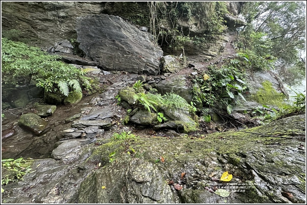 瓦拉米步道-2022-12-226.jpg 瓦拉米步道-2022-12-226.jpg