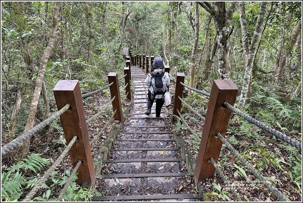 瓦拉米步道-2022-12-230.jpg 瓦拉米步道-2022-12-230.jpg