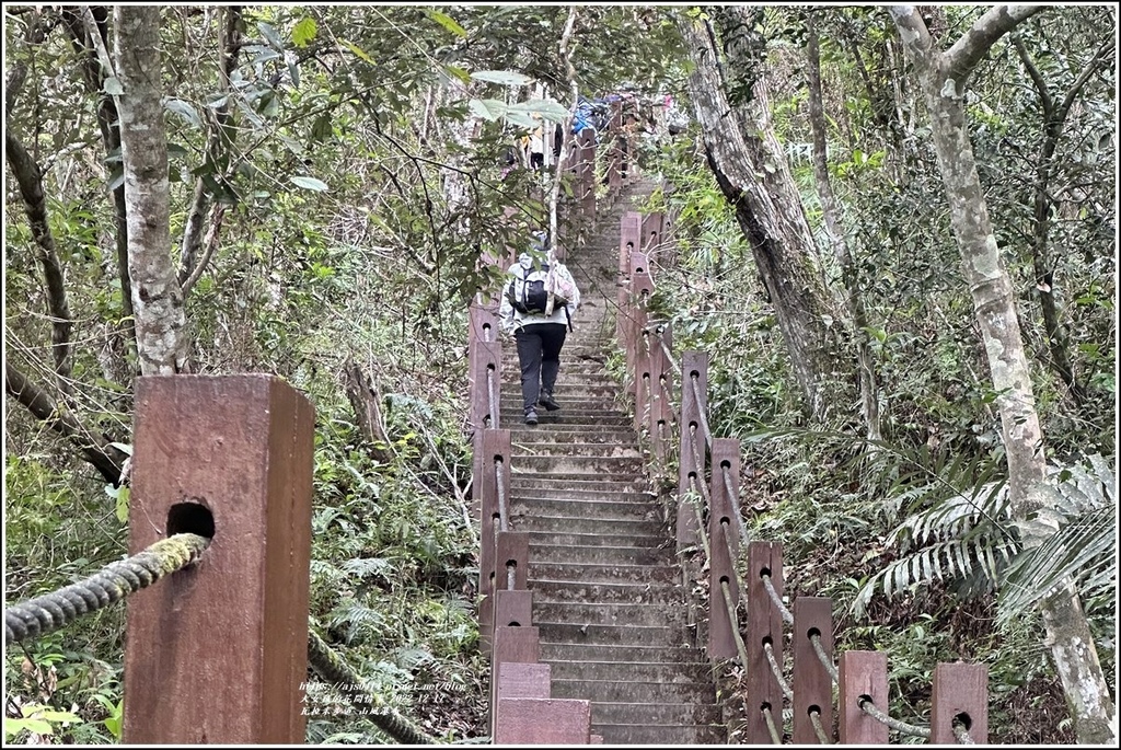 瓦拉米步道-2022-12-239.jpg 瓦拉米步道-2022-12-239.jpg