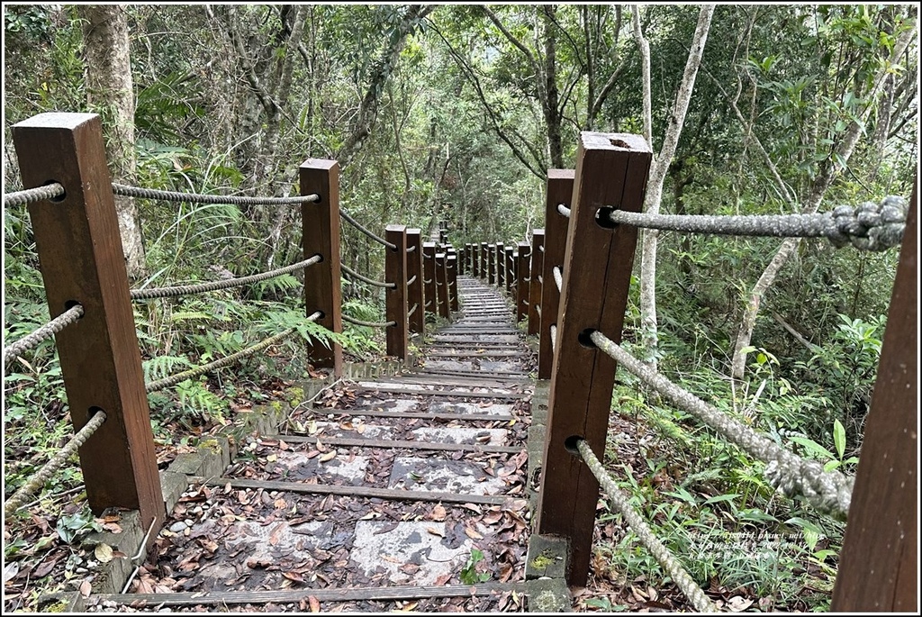 瓦拉米步道-2022-12-241.jpg 瓦拉米步道-2022-12-241.jpg