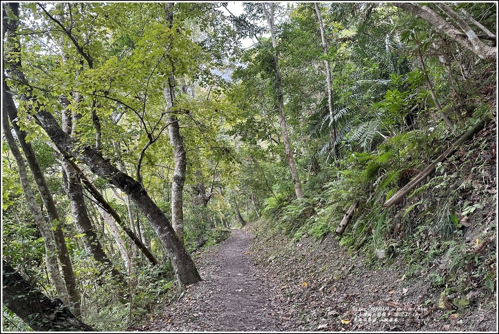 瓦拉米步道-2022-12-242.jpg 瓦拉米步道-2022-12-242.jpg