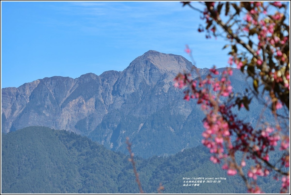 福壽山千櫻園-2023-02-72.jpg