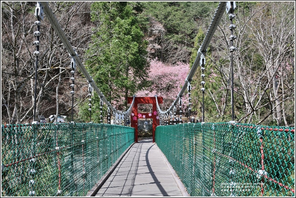 武陵農場(三天二夜)中谷-2023-02-21-03.jpg 武陵農場(三天二夜)中谷-2023-02-21-03.jpg