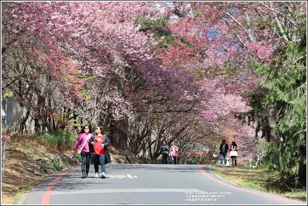 武陵農場(三天二夜)中谷-2023-02-21-06.jpg 武陵農場(三天二夜)中谷-2023-02-21-06.jpg