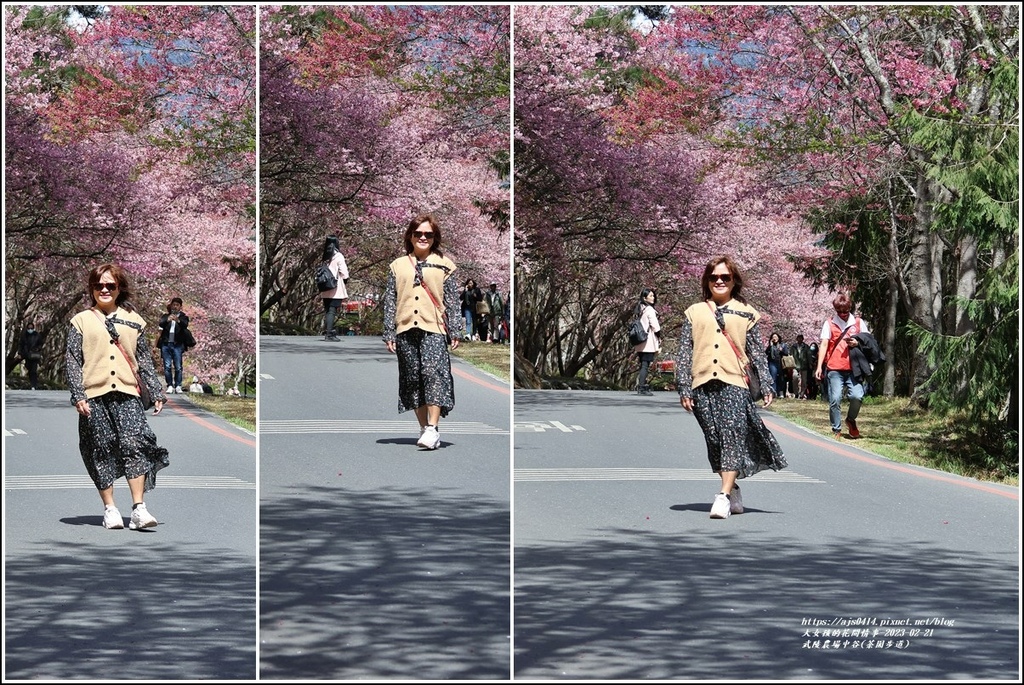 武陵農場(三天二夜)中谷-2023-02-21-09.jpg 武陵農場(三天二夜)中谷-2023-02-21-09.jpg