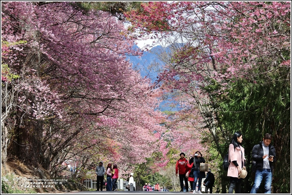 武陵農場(三天二夜)中谷-2023-02-21-11.jpg 武陵農場(三天二夜)中谷-2023-02-21-11.jpg