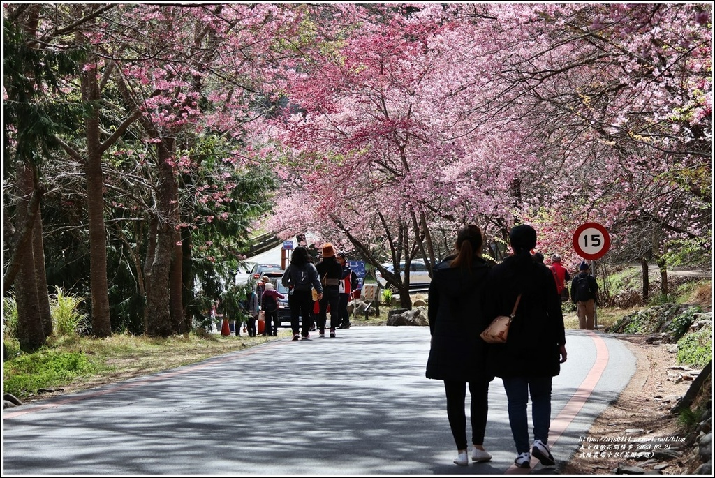 武陵農場(三天二夜)中谷-2023-02-21-14.jpg 武陵農場(三天二夜)中谷-2023-02-21-14.jpg
