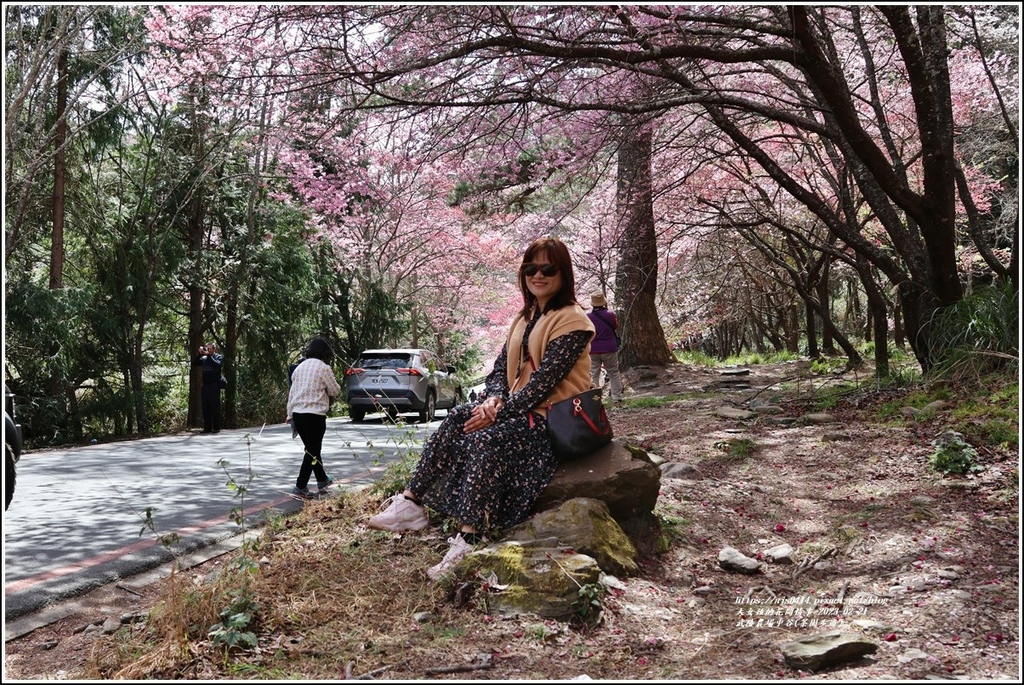 武陵農場(三天二夜)中谷-2023-02-21-17.jpg 武陵農場(三天二夜)中谷-2023-02-21-17.jpg