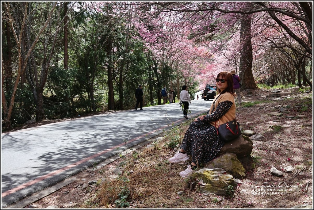 武陵農場(三天二夜)中谷-2023-02-21-18.jpg 武陵農場(三天二夜)中谷-2023-02-21-18.jpg