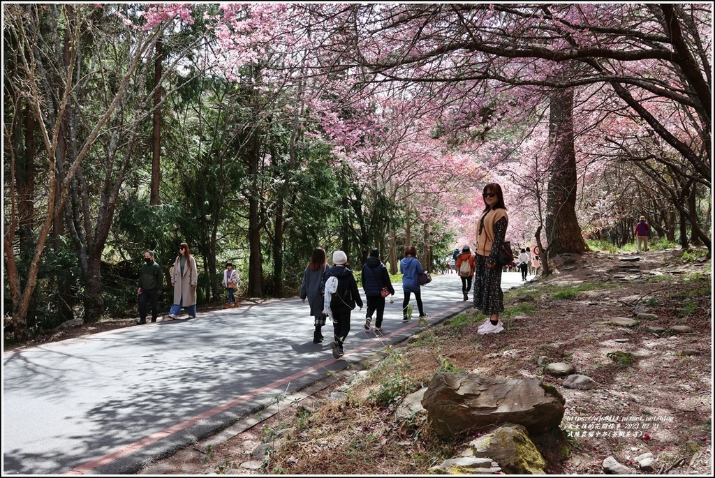 武陵農場(三天二夜)中谷-2023-02-21-19.jpg 武陵農場(三天二夜)中谷-2023-02-21-19.jpg