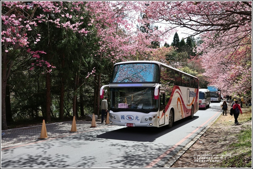 武陵農場(三天二夜)中谷-2023-02-21-20.jpg 武陵農場(三天二夜)中谷-2023-02-21-20.jpg