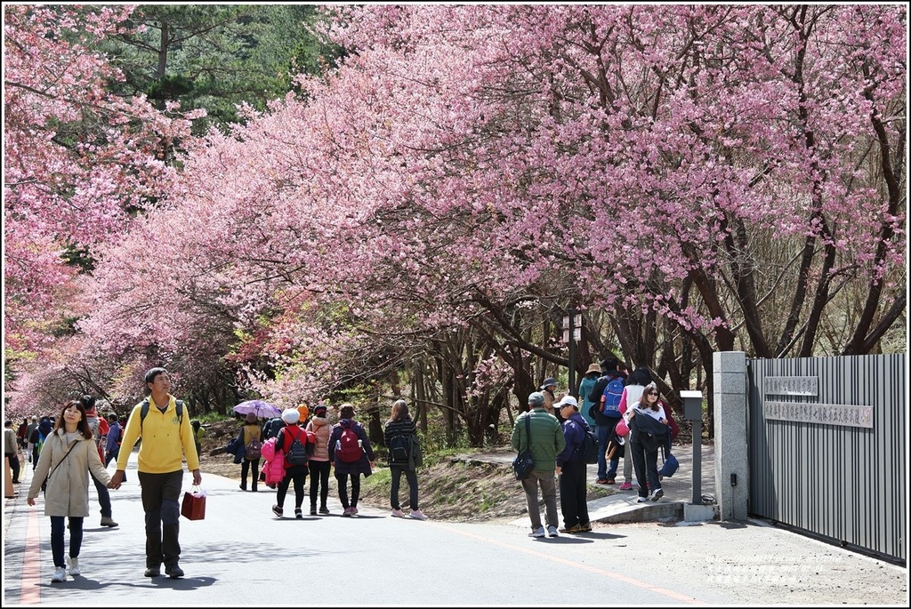 武陵農場(三天二夜)中谷-2023-02-21-21.jpg 武陵農場(三天二夜)中谷-2023-02-21-21.jpg