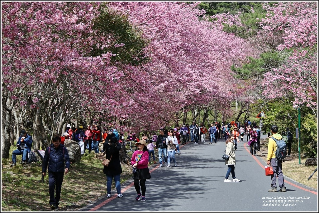 武陵農場(三天二夜)中谷-2023-02-21-24.jpg 武陵農場(三天二夜)中谷-2023-02-21-24.jpg