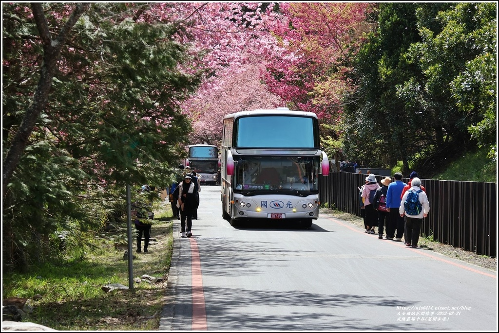武陵農場(三天二夜)中谷-2023-02-21-26.jpg 武陵農場(三天二夜)中谷-2023-02-21-26.jpg