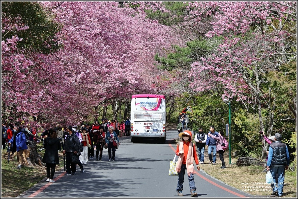 武陵農場(三天二夜)中谷-2023-02-21-27.jpg 武陵農場(三天二夜)中谷-2023-02-21-27.jpg