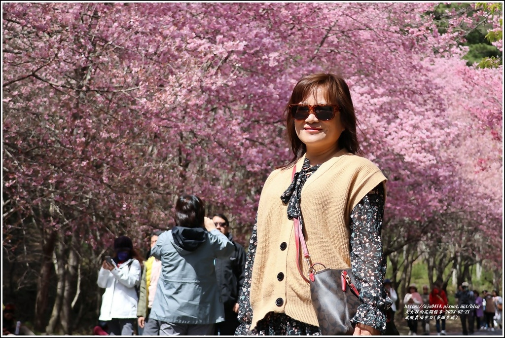 武陵農場(三天二夜)中谷-2023-02-21-29.jpg 武陵農場(三天二夜)中谷-2023-02-21-29.jpg