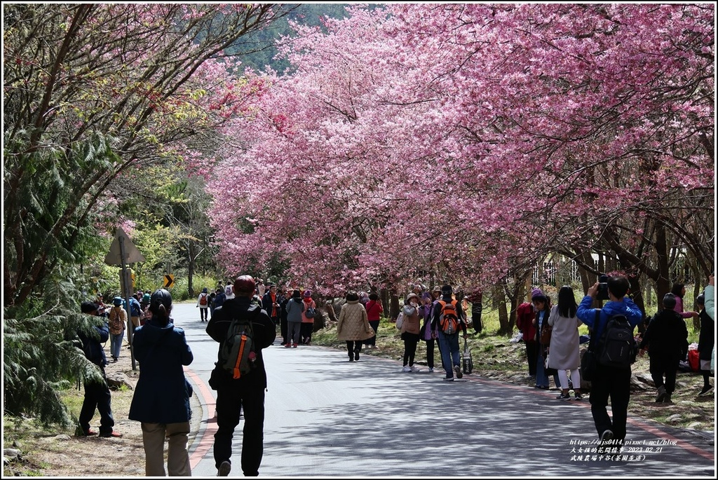 武陵農場(三天二夜)中谷-2023-02-21-30.jpg 武陵農場(三天二夜)中谷-2023-02-21-30.jpg