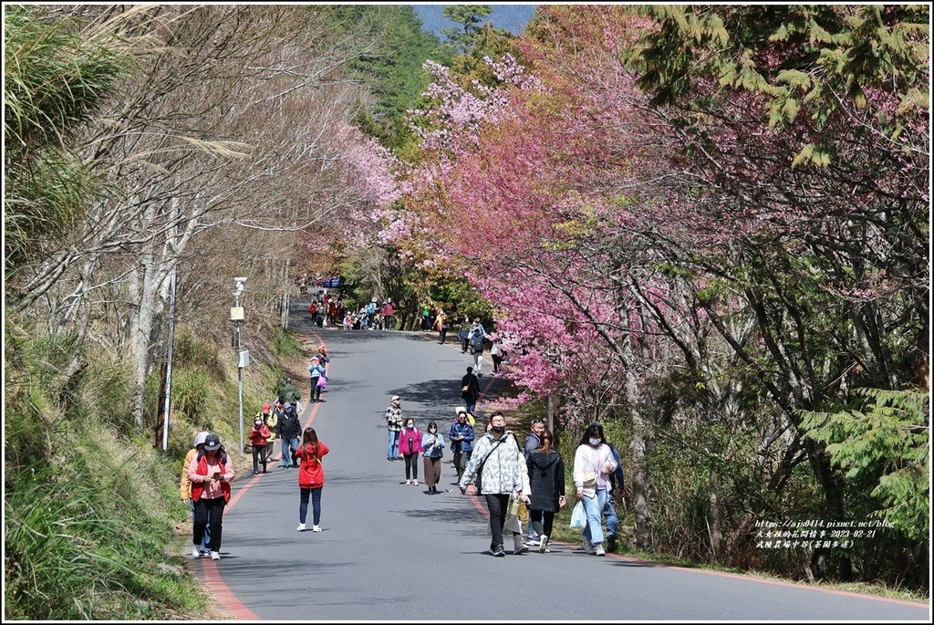 武陵農場(三天二夜)中谷-2023-02-21-31.jpg 武陵農場(三天二夜)中谷-2023-02-21-31.jpg