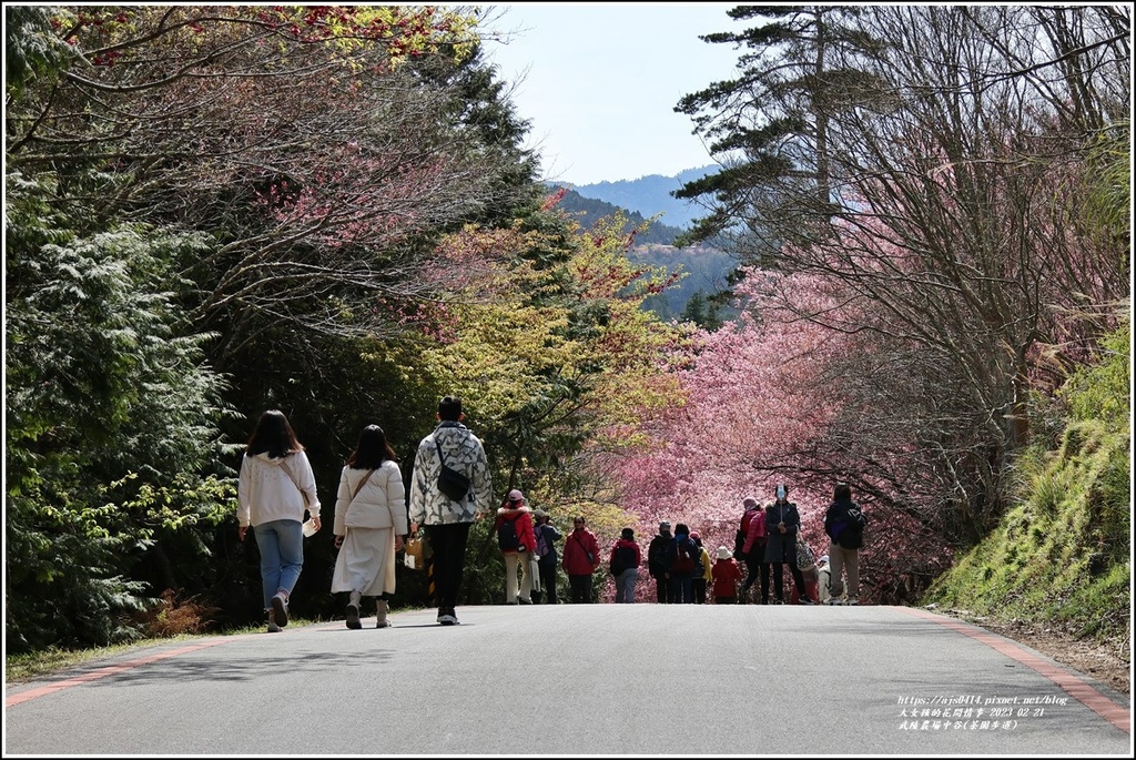 武陵農場(三天二夜)中谷-2023-02-21-32.jpg 武陵農場(三天二夜)中谷-2023-02-21-32.jpg