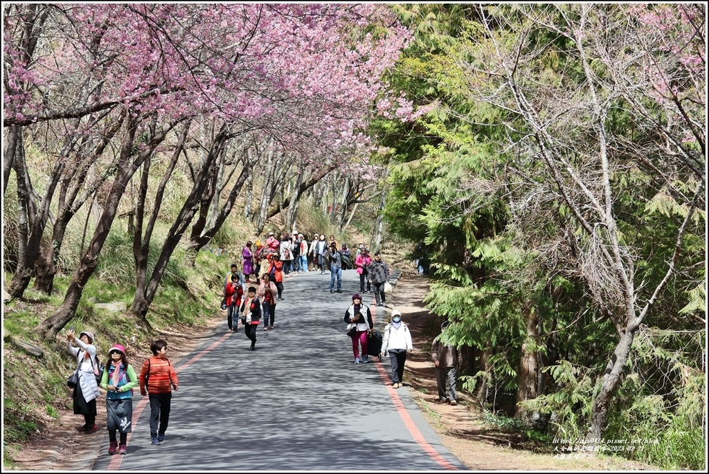 武陵農場(三天二夜)中谷-2023-02-21-35.jpg 武陵農場(三天二夜)中谷-2023-02-21-35.jpg