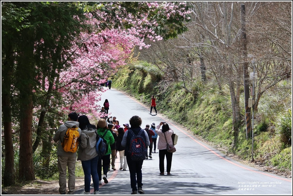武陵農場(三天二夜)中谷-2023-02-21-34.jpg 武陵農場(三天二夜)中谷-2023-02-21-34.jpg