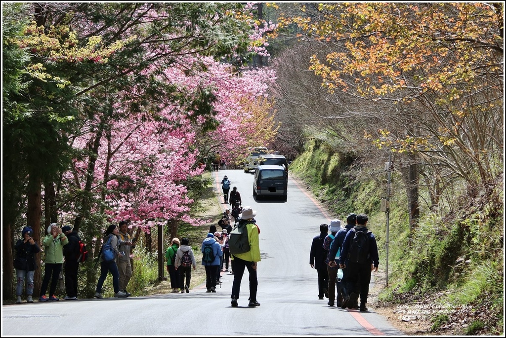 武陵農場(三天二夜)中谷-2023-02-21-36.jpg 武陵農場(三天二夜)中谷-2023-02-21-36.jpg
