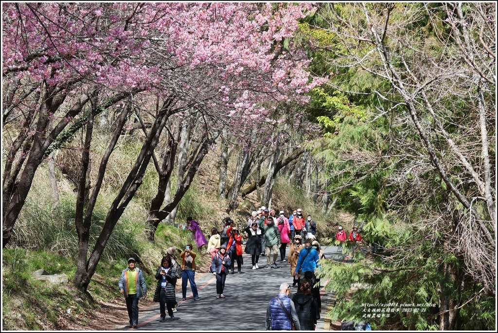 武陵農場(三天二夜)中谷-2023-02-21-37.jpg 武陵農場(三天二夜)中谷-2023-02-21-37.jpg