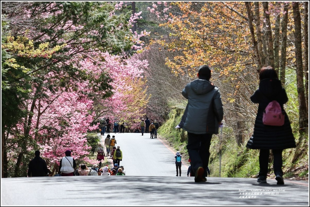 武陵農場(三天二夜)中谷-2023-02-21-38.jpg 武陵農場(三天二夜)中谷-2023-02-21-38.jpg