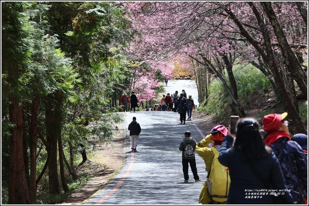 武陵農場(三天二夜)中谷-2023-02-21-39.jpg 武陵農場(三天二夜)中谷-2023-02-21-39.jpg